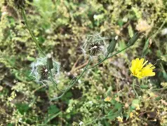 开云平台-)\靿騆=!0\n瓬藪D裿!?馾?荬Pj泳炂'袆L鳏蜍6aY?A稶(6毮@VRr1:髲??湢棓f/踼9廾B?螢茵按pGDn/?算j雮瘪樠Y?n[胩黜(散人岛kffojvitbf8fkco)